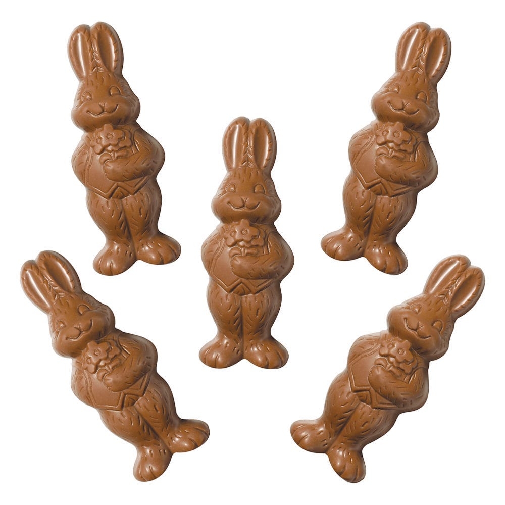 Chocolate rabbit clearance